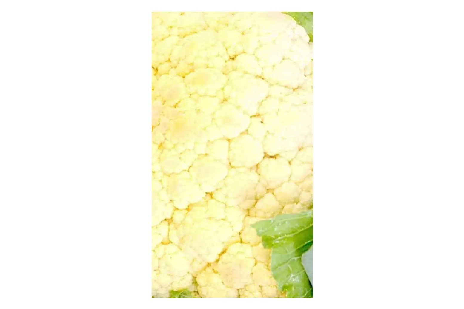 Pizza de Couve-Flor