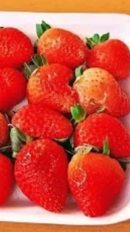Sobremesa de Morango Cremosa